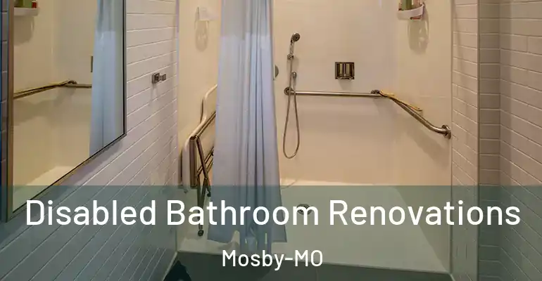 inner Bathroom imggen Disabled Bathroom Renovations Mosby-MO