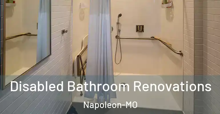 inner Bathroom imggen Disabled Bathroom Renovations Napoleon-MO