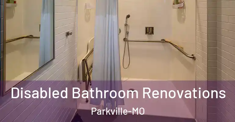 inner Bathroom imggen Disabled Bathroom Renovations Parkville-MO