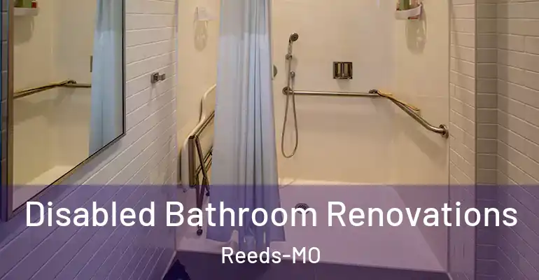 inner Bathroom imggen Disabled Bathroom Renovations Reeds-MO