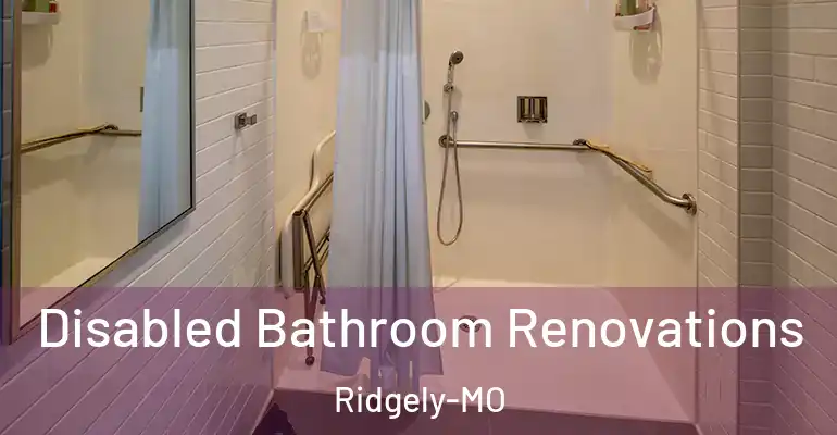 inner Bathroom imggen Disabled Bathroom Renovations Ridgely-MO