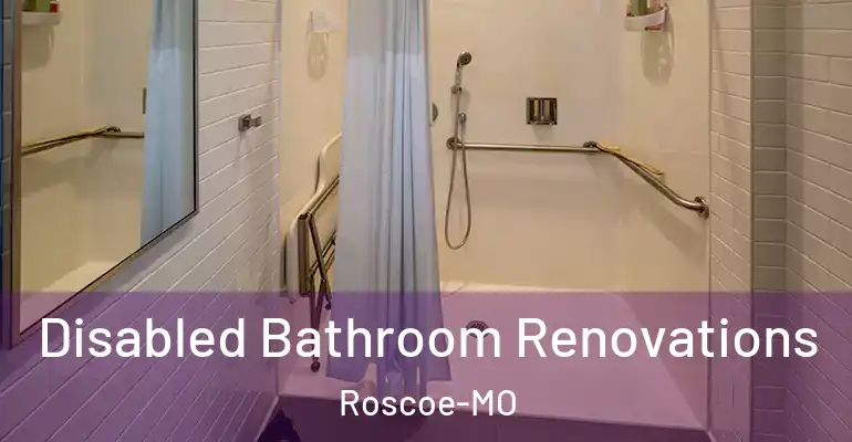 inner Bathroom imggen Disabled Bathroom Renovations Roscoe-MO
