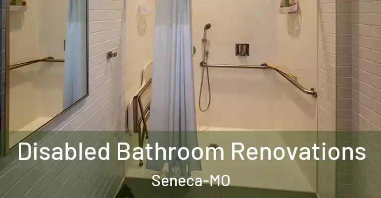 inner Bathroom imggen Disabled Bathroom Renovations Seneca-MO