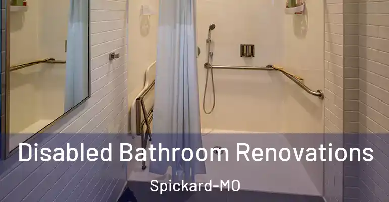 inner Bathroom imggen Disabled Bathroom Renovations Spickard-MO