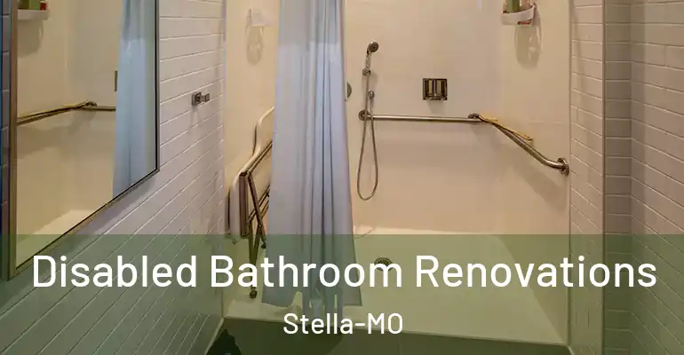 inner Bathroom imggen Disabled Bathroom Renovations Stella-MO