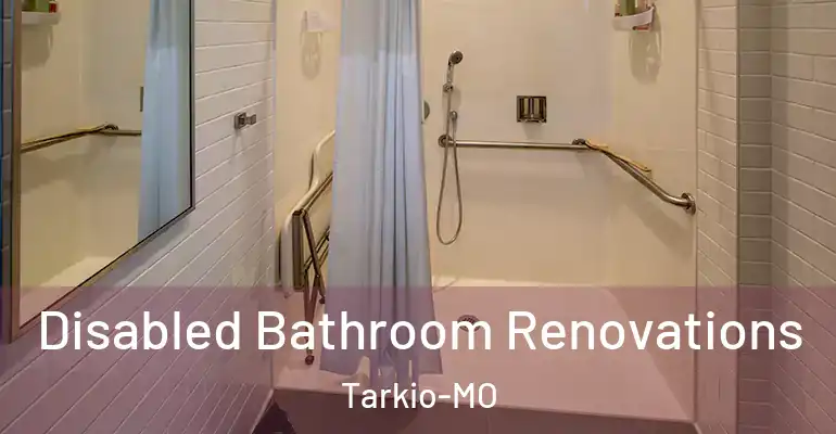 inner Bathroom imggen Disabled Bathroom Renovations Tarkio-MO