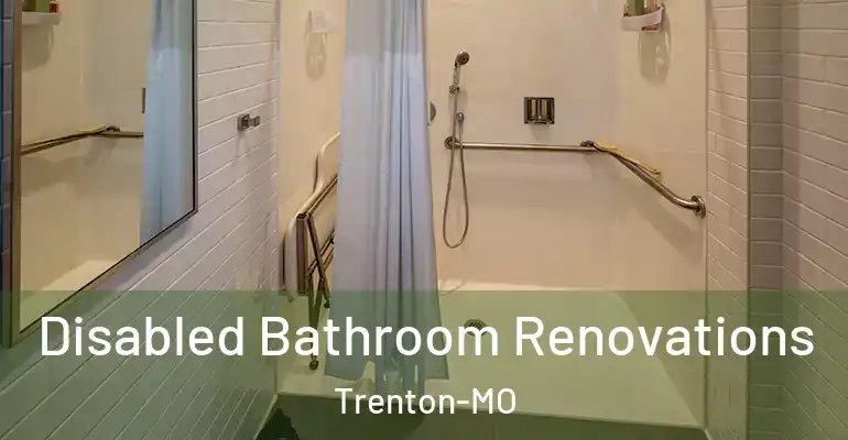 inner Bathroom imggen Disabled Bathroom Renovations Trenton-MO