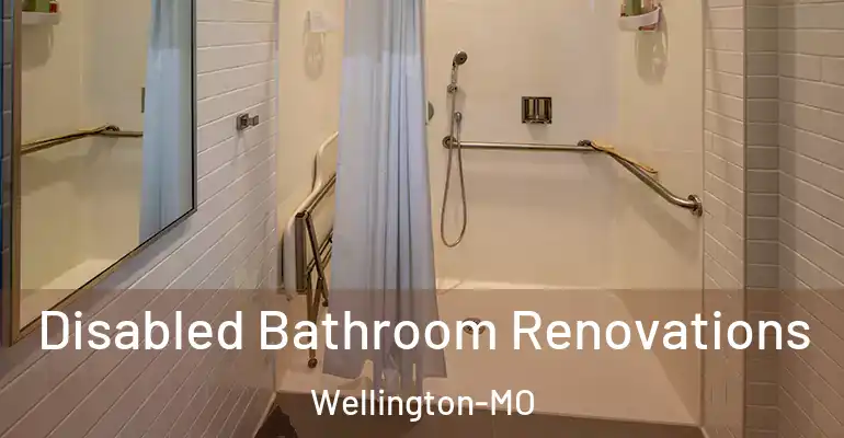 inner Bathroom imggen Disabled Bathroom Renovations Wellington-MO