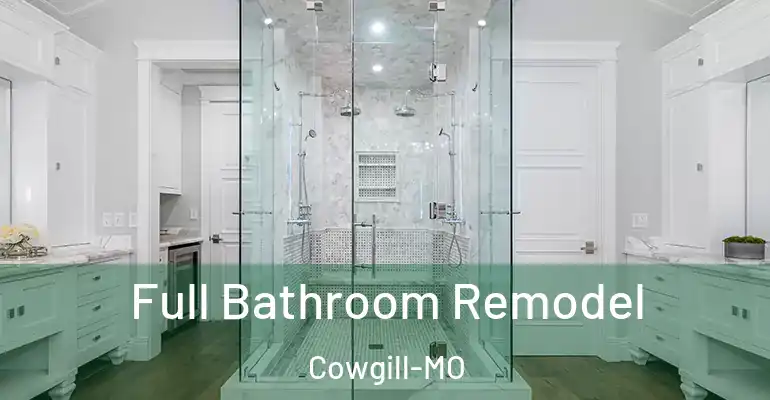 inner Bathroom imggen Full Bathroom Remodel Cowgill-MO