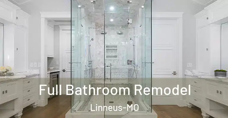 inner Bathroom imggen Full Bathroom Remodel Linneus-MO