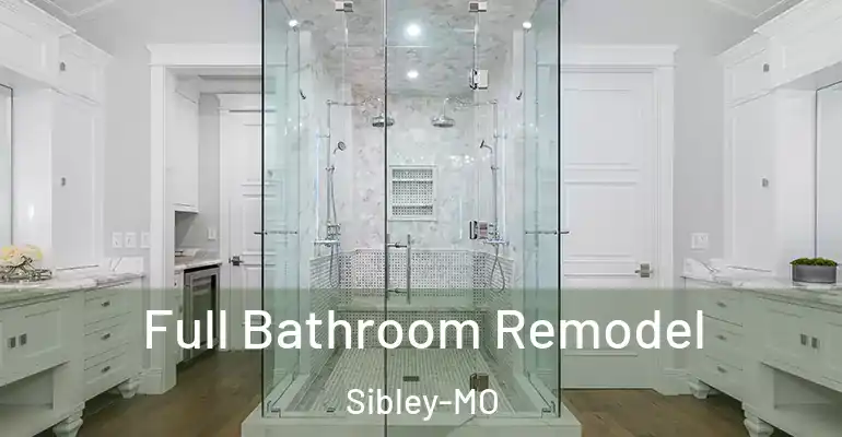 inner Bathroom imggen Full Bathroom Remodel Sibley-MO