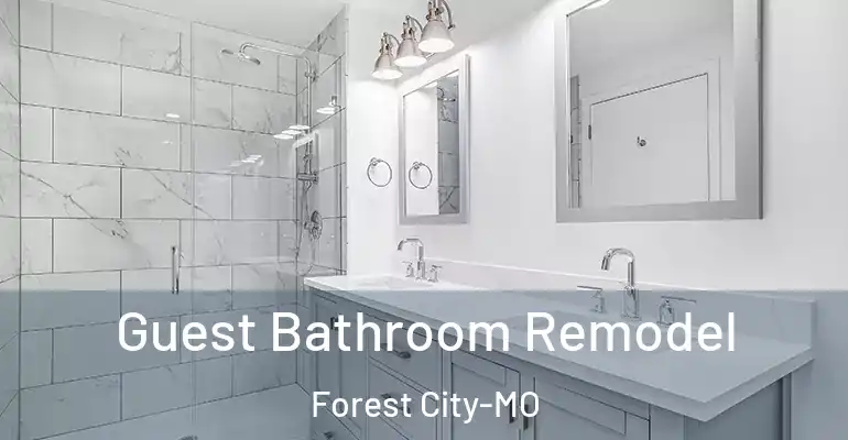 inner Bathroom imggen Guest Bathroom Remodel Forest City-MO