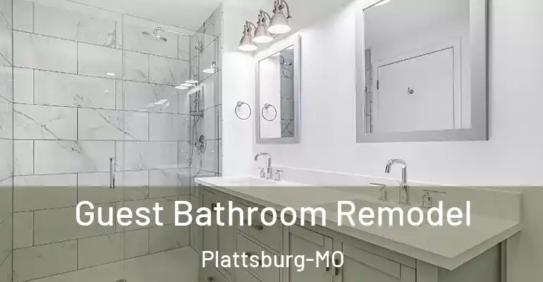 inner Bathroom imggen Guest Bathroom Remodel Plattsburg-MO