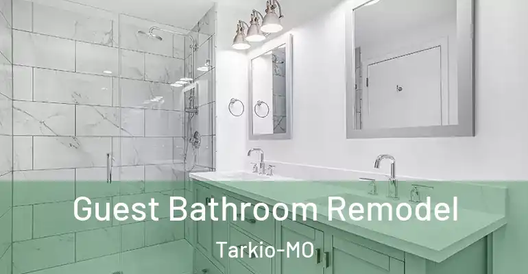 inner Bathroom imggen Guest Bathroom Remodel Tarkio-MO
