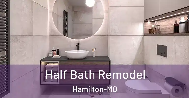 inner Bathroom imggen Half Bath Remodel Hamilton-MO