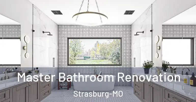 inner Bathroom imggen Master Bathroom Renovation Strasburg-MO