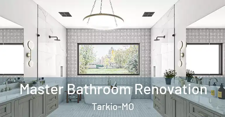 inner Bathroom imggen Master Bathroom Renovation Tarkio-MO