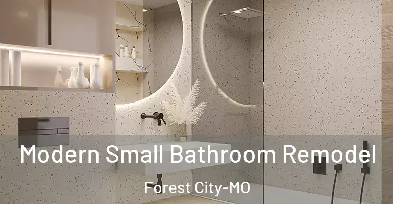 inner Bathroom imggen Modern Small Bathroom Remodel Forest City-MO