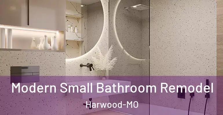 inner Bathroom imggen Modern Small Bathroom Remodel Harwood-MO