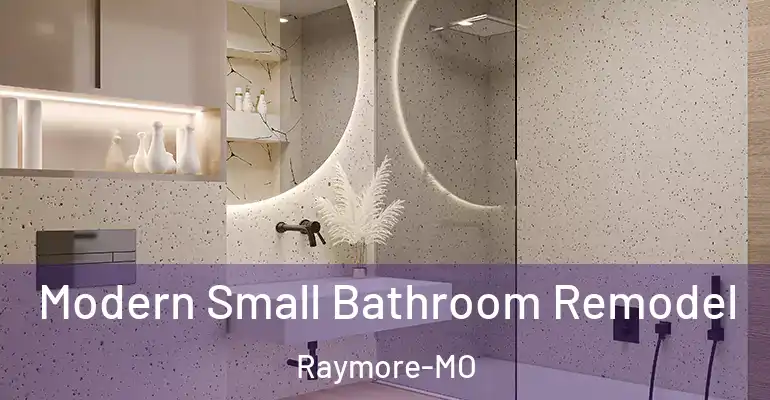 inner Bathroom imggen Modern Small Bathroom Remodel Raymore-MO