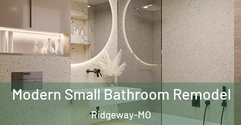 inner Bathroom imggen Modern Small Bathroom Remodel Ridgeway-MO