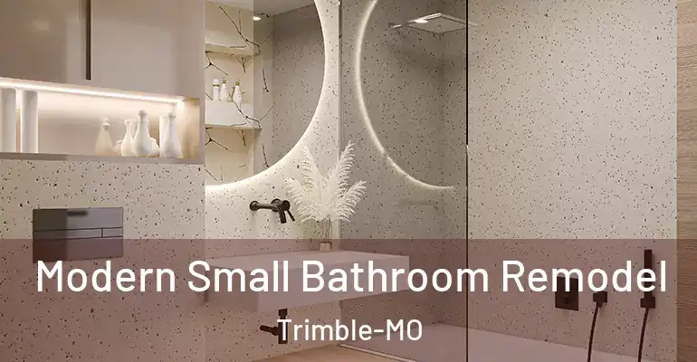 inner Bathroom imggen Modern Small Bathroom Remodel Trimble-MO