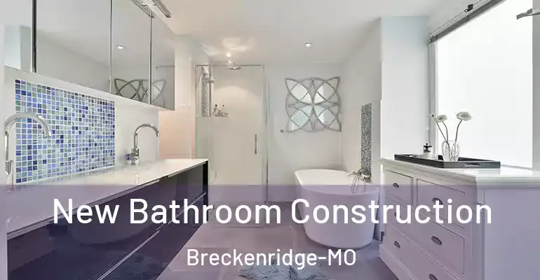 inner Bathroom imggen New Bathroom Construction Breckenridge-MO