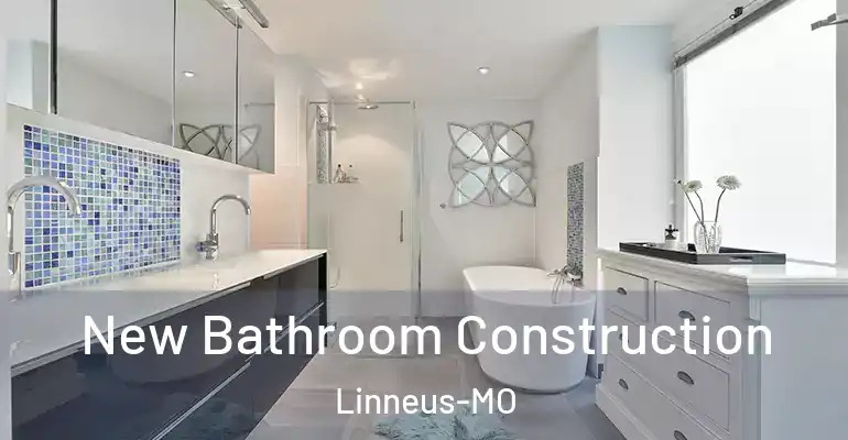 inner Bathroom imggen New Bathroom Construction Linneus-MO