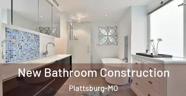 inner Bathroom imggen New Bathroom Construction Plattsburg-MO