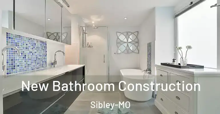 inner Bathroom imggen New Bathroom Construction Sibley-MO