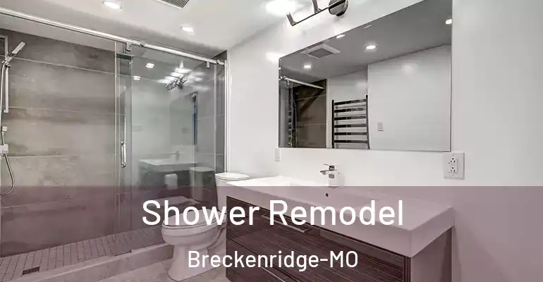 inner Bathroom imggen Shower Remodel Breckenridge-MO
