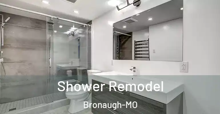 inner Bathroom imggen Shower Remodel Bronaugh-MO