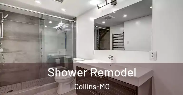 inner Bathroom imggen Shower Remodel Collins-MO