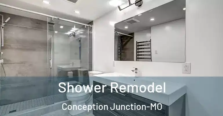 inner Bathroom imggen Shower Remodel Conception Junction-MO