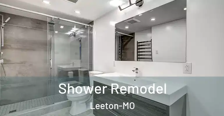 inner Bathroom imggen Shower Remodel Leeton-MO