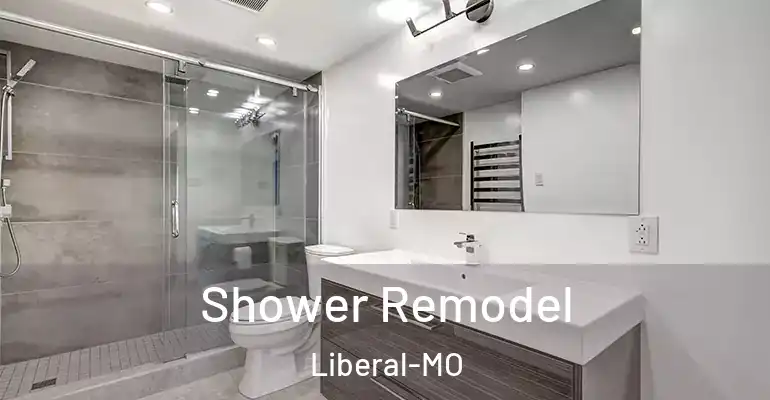 inner Bathroom imggen Shower Remodel Liberal-MO