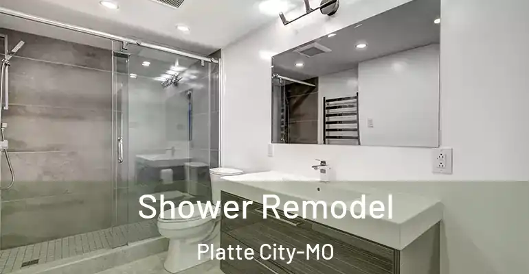 inner Bathroom imggen Shower Remodel Platte City-MO