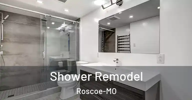 inner Bathroom imggen Shower Remodel Roscoe-MO