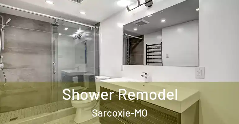 inner Bathroom imggen Shower Remodel Sarcoxie-MO