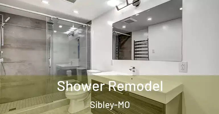 inner Bathroom imggen Shower Remodel Sibley-MO