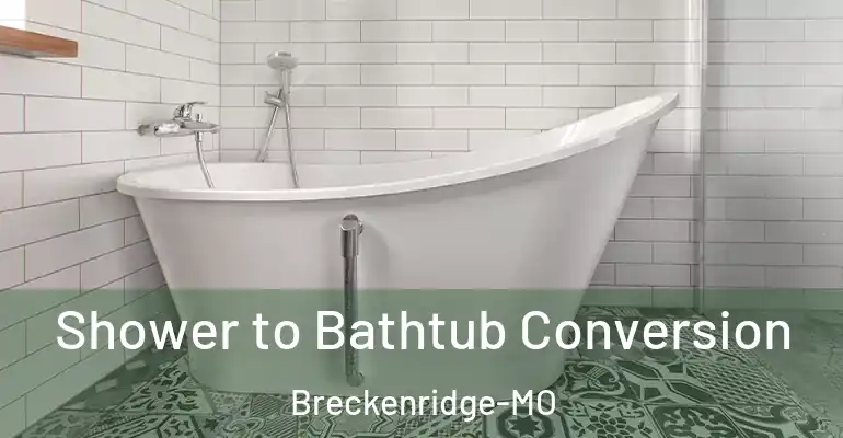 inner Bathroom imggen Shower to Bathtub Conversion Breckenridge-MO