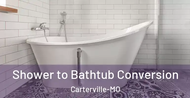 inner Bathroom imggen Shower to Bathtub Conversion Carterville-MO