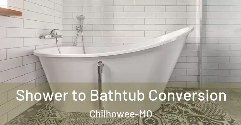 inner Bathroom imggen Shower to Bathtub Conversion Chilhowee-MO