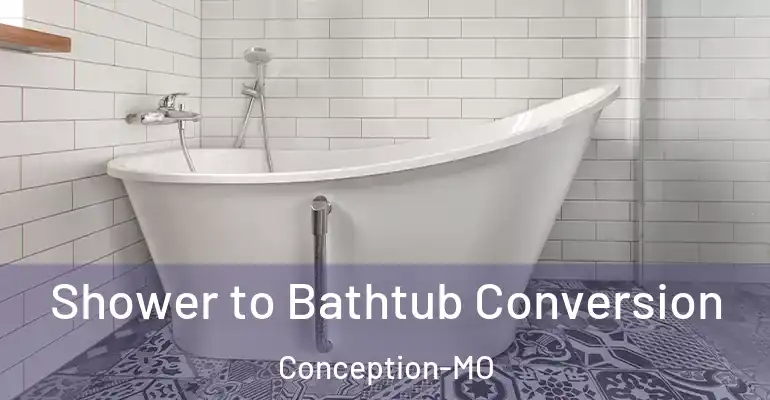 inner Bathroom imggen Shower to Bathtub Conversion Conception-MO