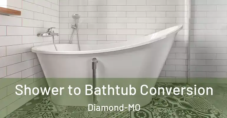inner Bathroom imggen Shower to Bathtub Conversion Diamond-MO