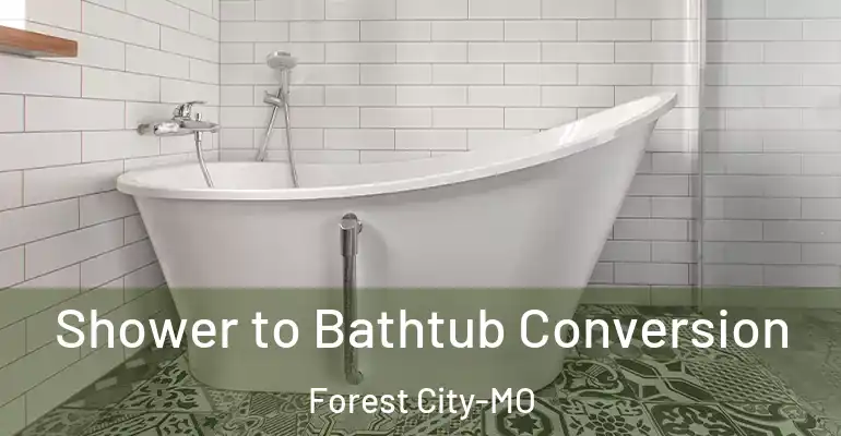inner Bathroom imggen Shower to Bathtub Conversion Forest City-MO