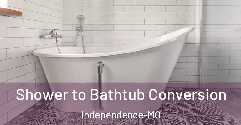 inner Bathroom imggen Shower to Bathtub Conversion Independence-MO