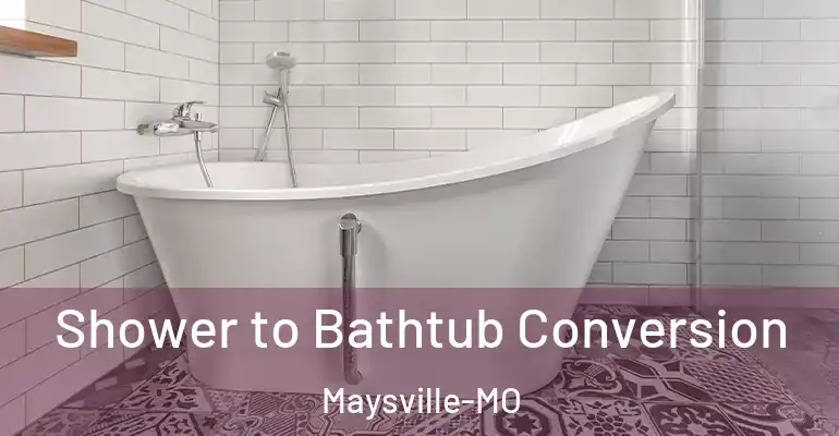 inner Bathroom imggen Shower to Bathtub Conversion Maysville-MO