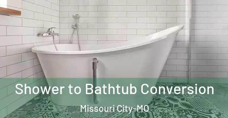 inner Bathroom imggen Shower to Bathtub Conversion Missouri City-MO