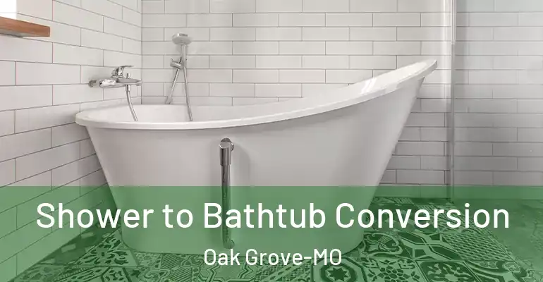 inner Bathroom imggen Shower to Bathtub Conversion Oak Grove-MO